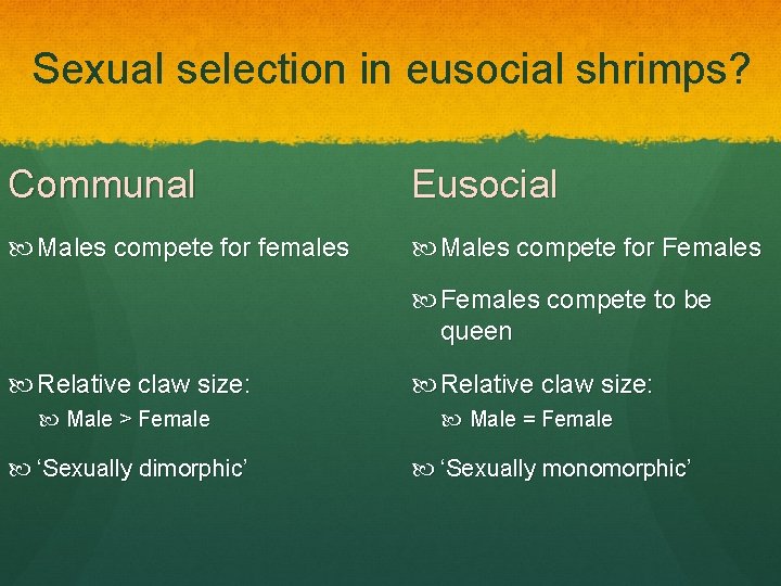 Sexual selection in eusocial shrimps? Communal Eusocial Males compete for females Males compete for