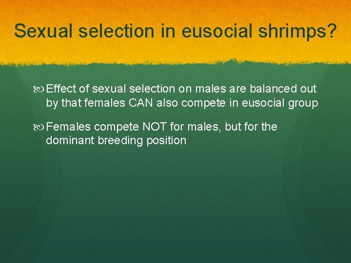 Sexual selection in eusocial shrimps? Effect of sexual selection on males are balanced out