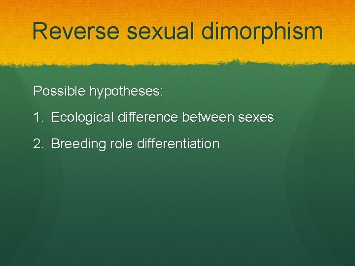 Reverse sexual dimorphism Possible hypotheses: 1. Ecological difference between sexes 2. Breeding role differentiation