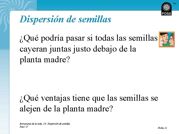 TM Dispersión de semillas ¿Qué podría pasar si todas las semillas cayeran juntas justo