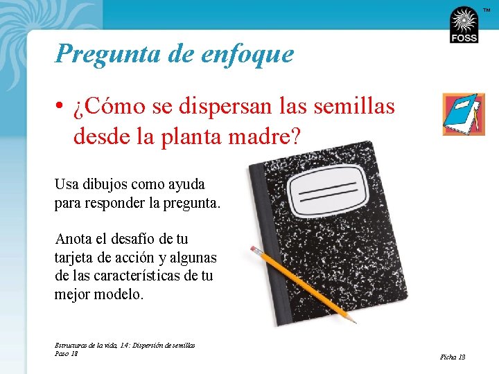 TM Pregunta de enfoque • ¿Cómo se dispersan las semillas desde la planta madre?