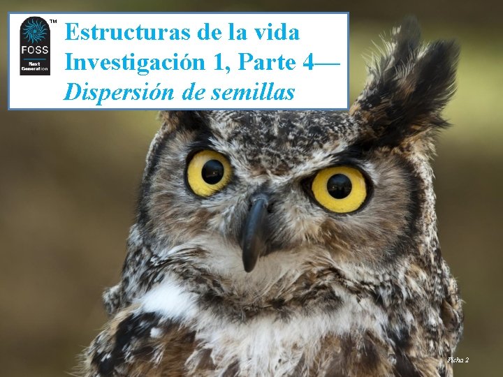 TM TM Estructuras de la vida Investigación 1, Parte 4— Dispersión de semillas Ficha