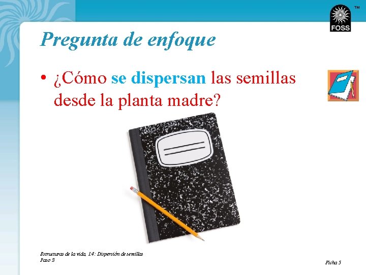 TM Pregunta de enfoque • ¿Cómo se dispersan las semillas desde la planta madre?