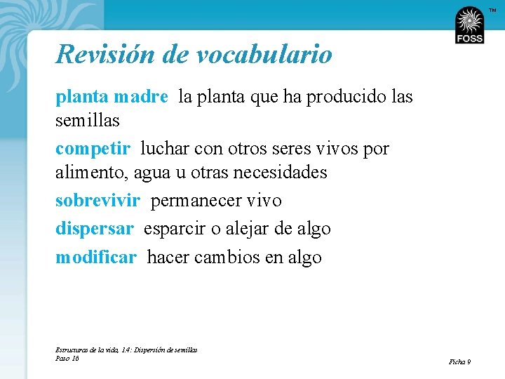 TM Revisión de vocabulario planta madre la planta que ha producido las semillas competir