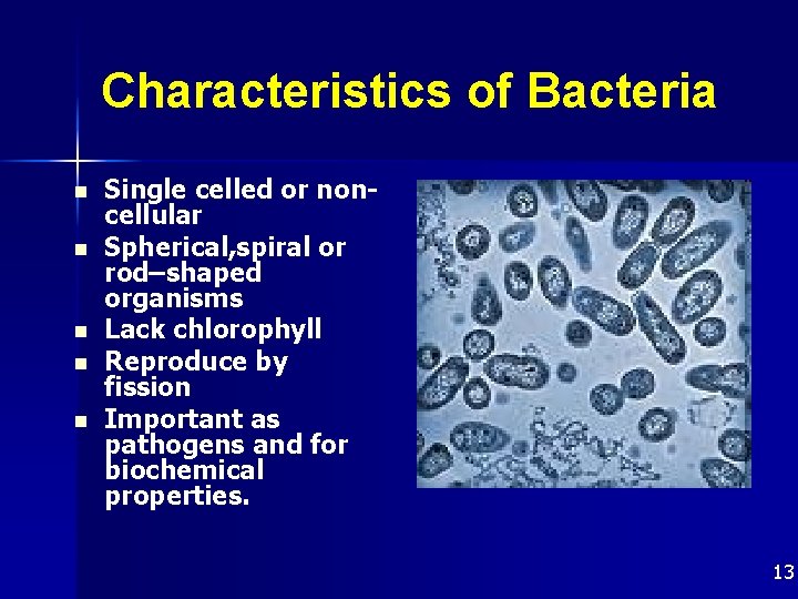 Characteristics of Bacteria n n n Single celled or noncellular Spherical, spiral or rod–shaped