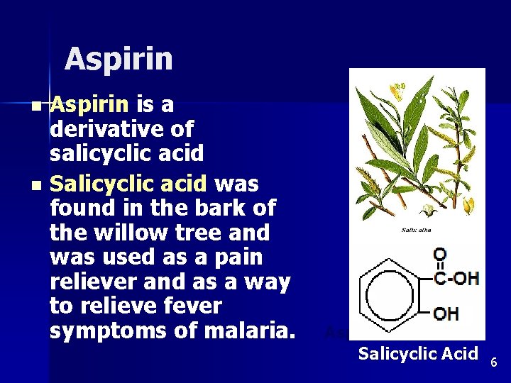 Aspirin is a derivative of salicyclic acid n Salicyclic acid was found in the