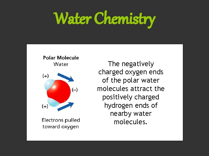 Water Chemistry The negatively charged oxygen ends of the polar water molecules attract the