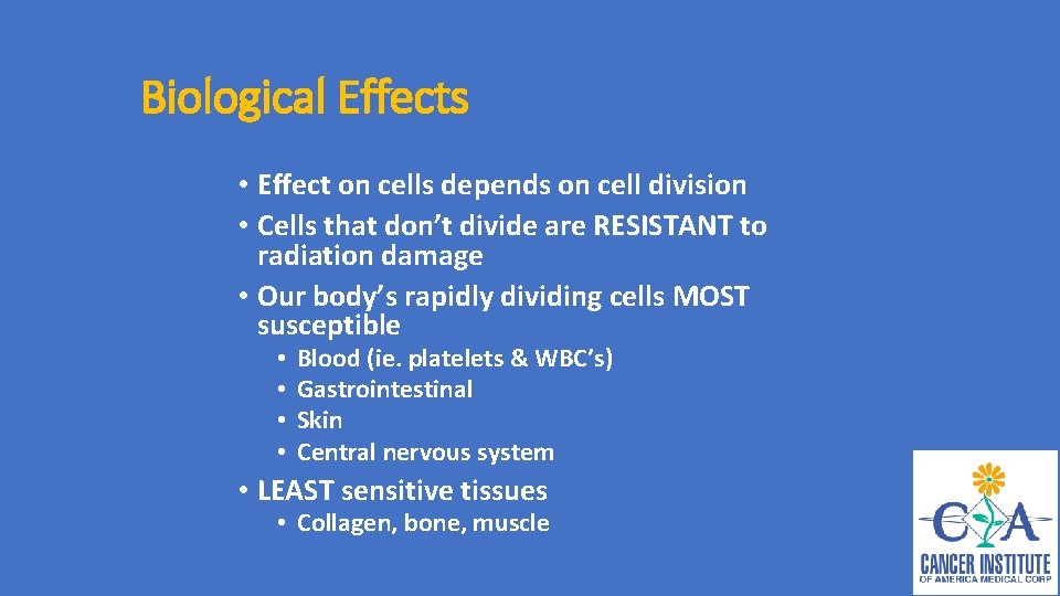 Biological Effects • Effect on cells depends on cell division • Cells that don’t