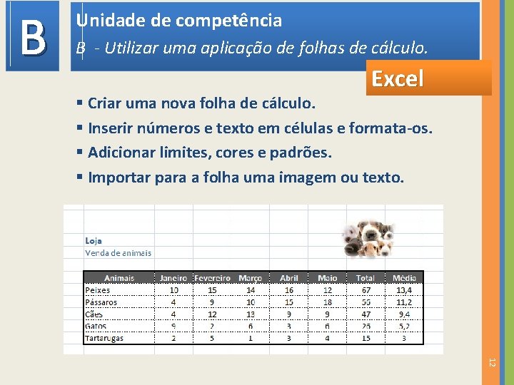 B Unidade de competência B - Utilizar uma aplicação de folhas de cálculo. Excel