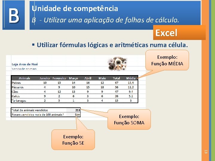 B Unidade de competência B - Utilizar uma aplicação de folhas de cálculo. Excel