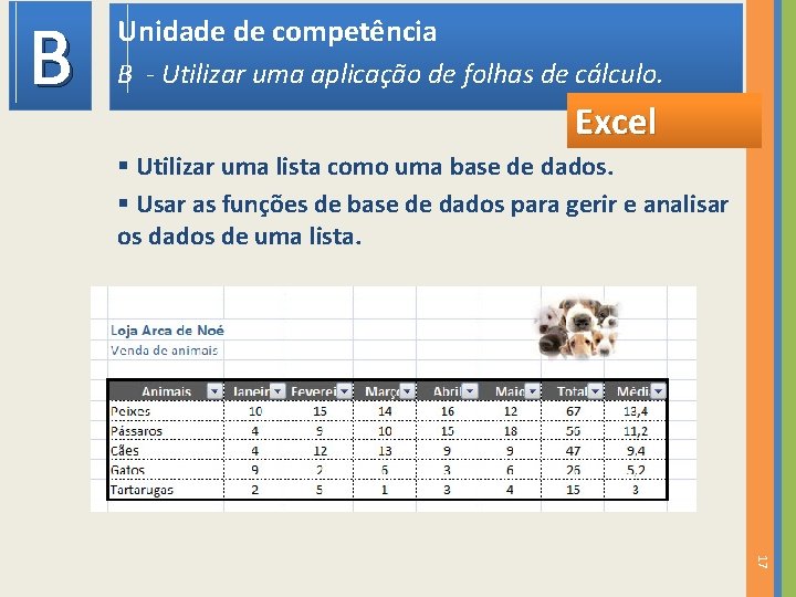 B Unidade de competência B - Utilizar uma aplicação de folhas de cálculo. Excel