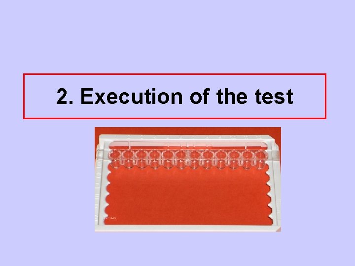 2. Execution of the test 