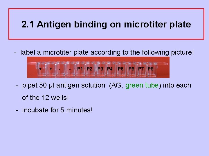 2. 1 Antigen binding on microtiter plate - label a microtiter plate according to