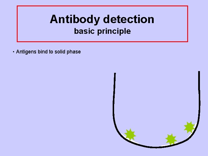 Antibody detection basic principle • Antigens bind to solid phase 