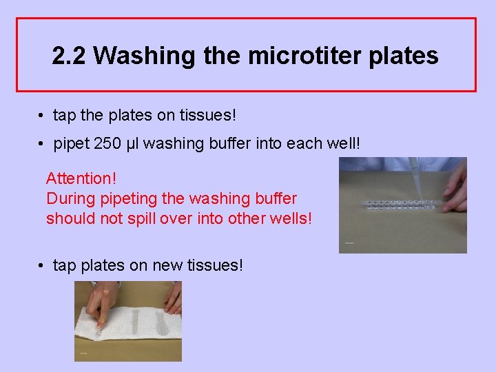 2. 2 Washing the microtiter plates • tap the plates on tissues! • pipet