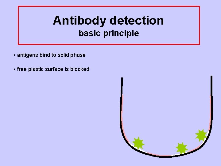 Antibody detection basic principle • antigens bind to solid phase • free plastic surface