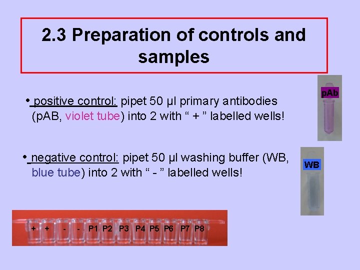 2. 3 Preparation of controls and samples p. Ab • positive control: pipet 50