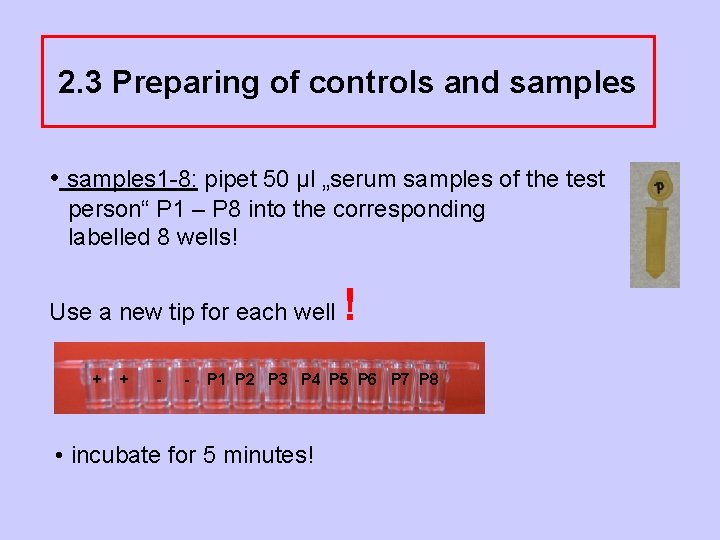 2. 3 Preparing of controls and samples • samples 1 -8: pipet 50 µl