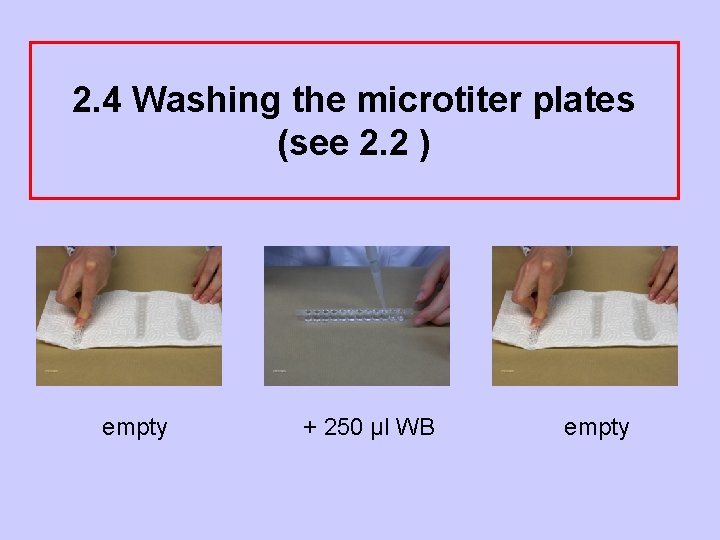 2. 4 Washing the microtiter plates (see 2. 2 ) empty + 250 µl