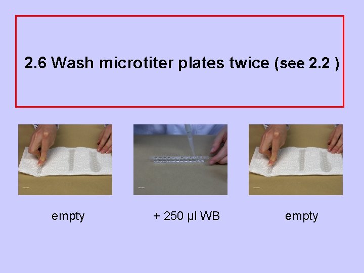 2. 6 Wash microtiter plates twice (see 2. 2 ) empty + 250 µl