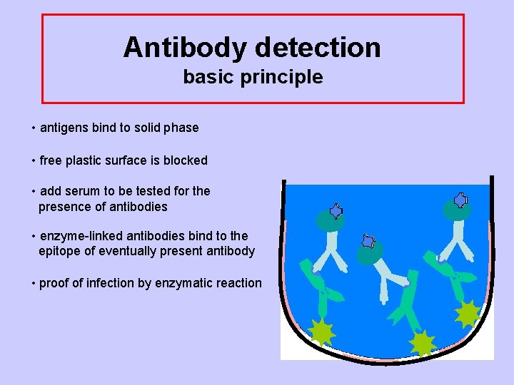 Antibody detection basic principle • antigens bind to solid phase • free plastic surface