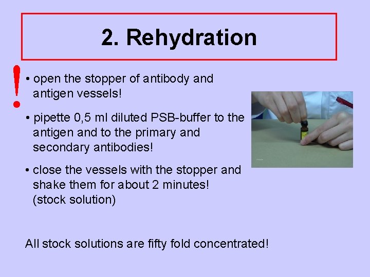 2. Rehydration ! • open the stopper of antibody and antigen vessels! • pipette