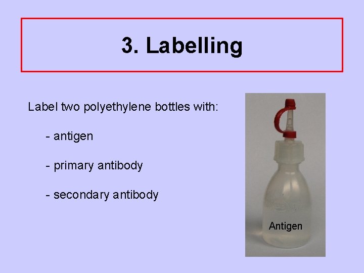 3. Labelling Label two polyethylene bottles with: - antigen - primary antibody - secondary