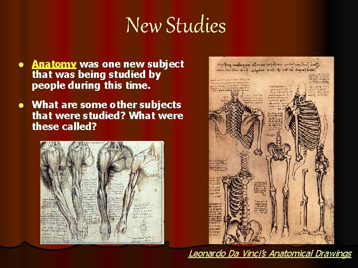 New Studies l Anatomy was one new subject that was being studied by people