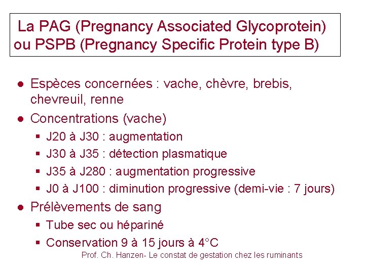  La PAG (Pregnancy Associated Glycoprotein) ou PSPB (Pregnancy Specific Protein type B) ●