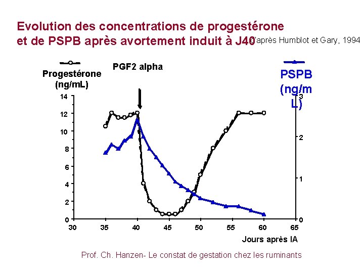 Evolution des concentrations de progestérone et de PSPB après avortement induit à J 40