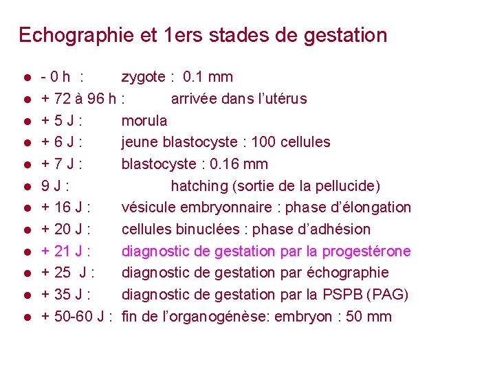 Echographie et 1 ers stades de gestation ● ● ● - 0 h :