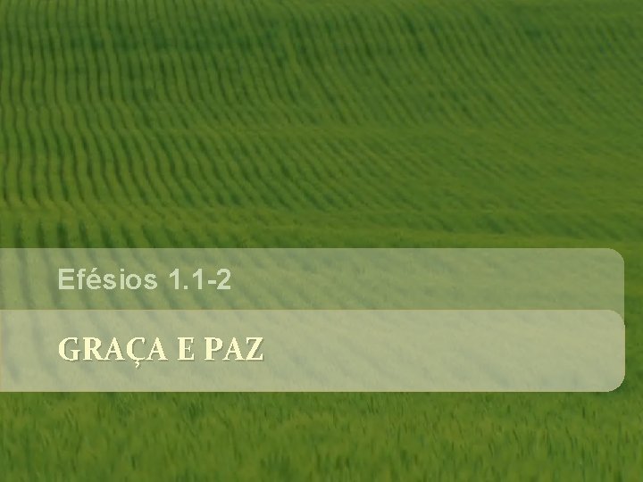 Efésios 1. 1 -2 GRAÇA E PAZ Efésios 1. 1 -2 GRAÇA E PAZ