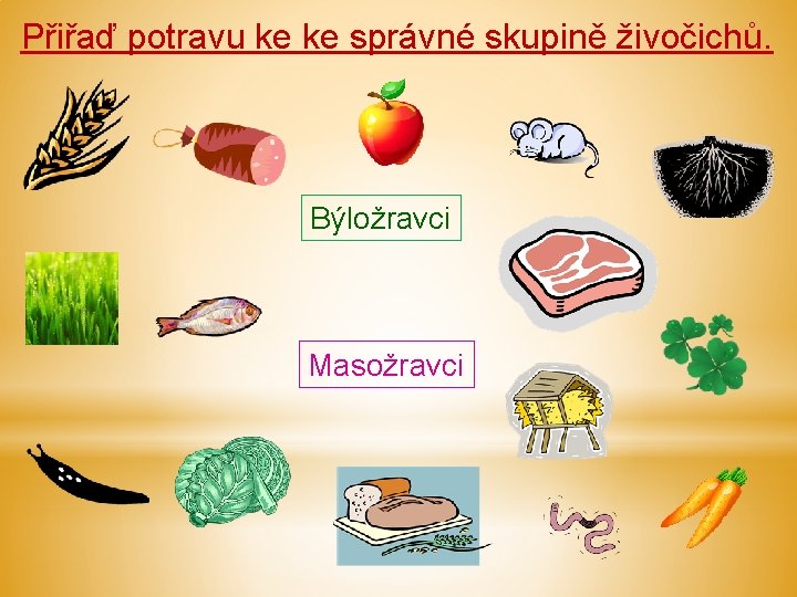 Přiřaď potravu ke ke správné skupině živočichů. Býložravci Masožravci 