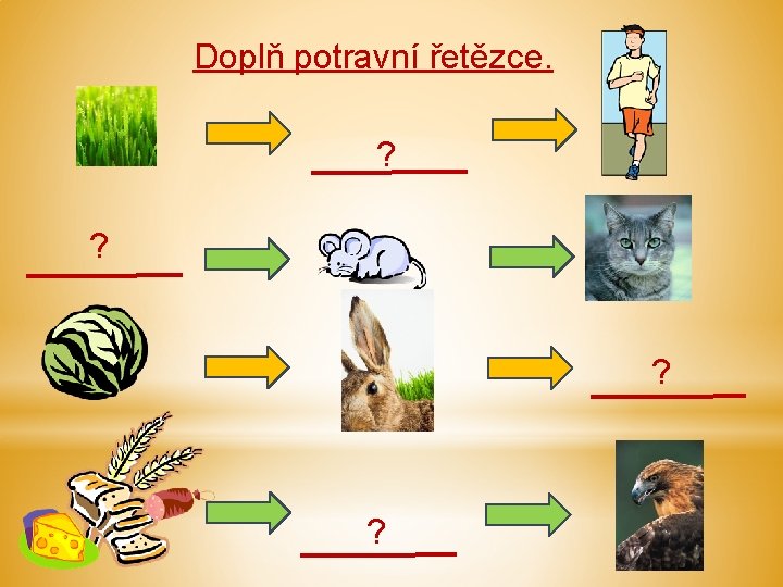 Doplň potravní řetězce. ? ? ? ? 