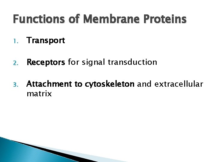 Functions of Membrane Proteins 1. Transport 2. Receptors for signal transduction 3. Attachment to Functions of Membrane Proteins 1. Transport 2. Receptors for signal transduction 3. Attachment to