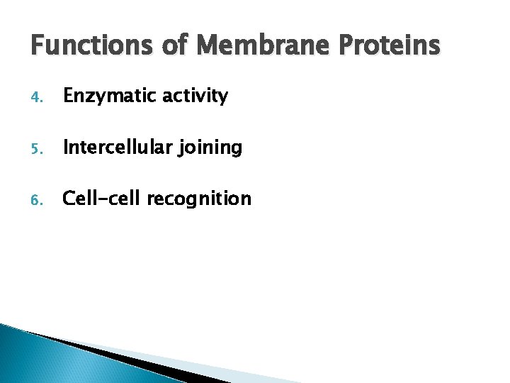 Functions of Membrane Proteins 4. Enzymatic activity 5. Intercellular joining 6. Cell-cell recognition Functions of Membrane Proteins 4. Enzymatic activity 5. Intercellular joining 6. Cell-cell recognition