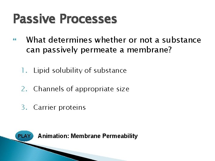 Passive Processes What determines whether or not a substance can passively permeate a membrane? Passive Processes What determines whether or not a substance can passively permeate a membrane?