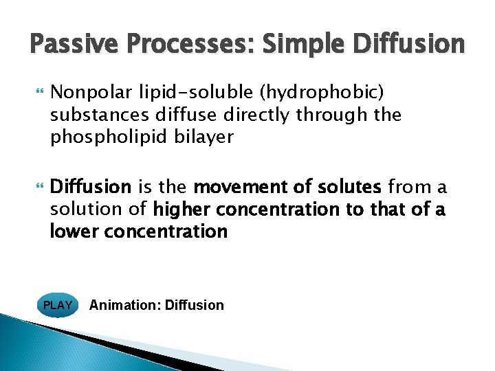 Passive Processes: Simple Diffusion Nonpolar lipid-soluble (hydrophobic) substances diffuse directly through the phospholipid bilayer Passive Processes: Simple Diffusion Nonpolar lipid-soluble (hydrophobic) substances diffuse directly through the phospholipid bilayer