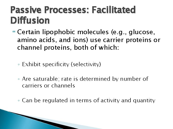 Passive Processes: Facilitated Diffusion Certain lipophobic molecules (e. g. , glucose, amino acids, and Passive Processes: Facilitated Diffusion Certain lipophobic molecules (e. g. , glucose, amino acids, and