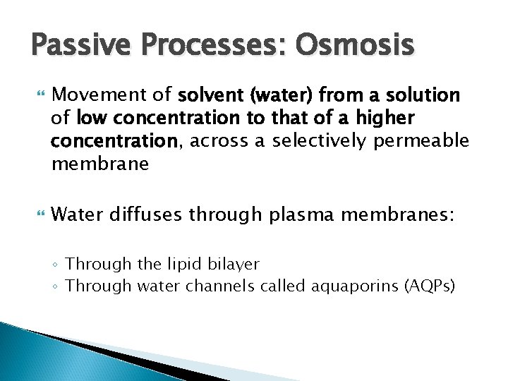 Passive Processes: Osmosis Movement of solvent (water) from a solution of low concentration to Passive Processes: Osmosis Movement of solvent (water) from a solution of low concentration to
