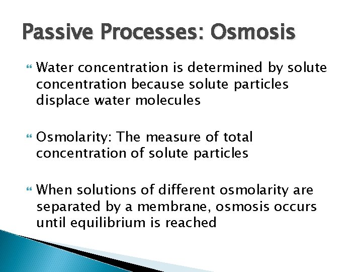 Passive Processes: Osmosis Water concentration is determined by solute concentration because solute particles displace Passive Processes: Osmosis Water concentration is determined by solute concentration because solute particles displace