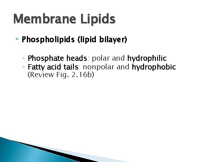 Membrane Lipids Phospholipids (lipid bilayer) ◦ Phosphate heads: polar and hydrophilic ◦ Fatty acid Membrane Lipids Phospholipids (lipid bilayer) ◦ Phosphate heads: polar and hydrophilic ◦ Fatty acid