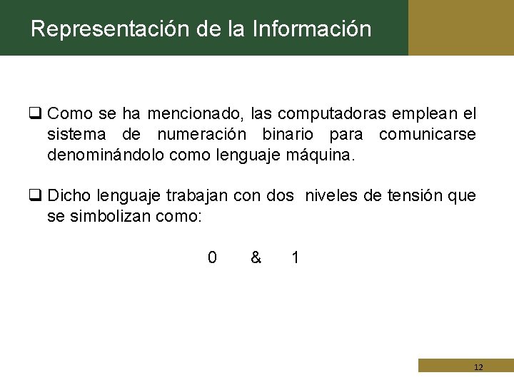 Representación de la Información q Como se ha mencionado, las computadoras emplean el sistema