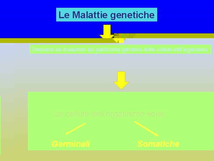 Le Malattie genetiche Derivano da mutazioni del patrimonio genetico delle cellule dell’organismo Le cellule