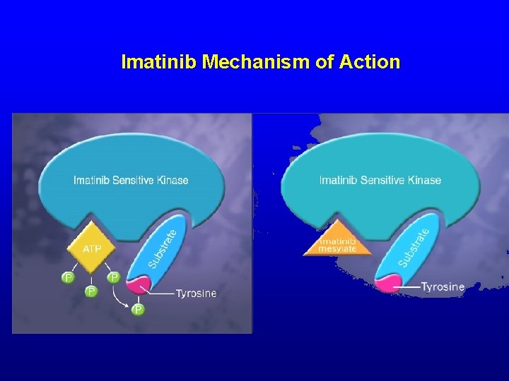 Imatinib Mechanism of Action 
