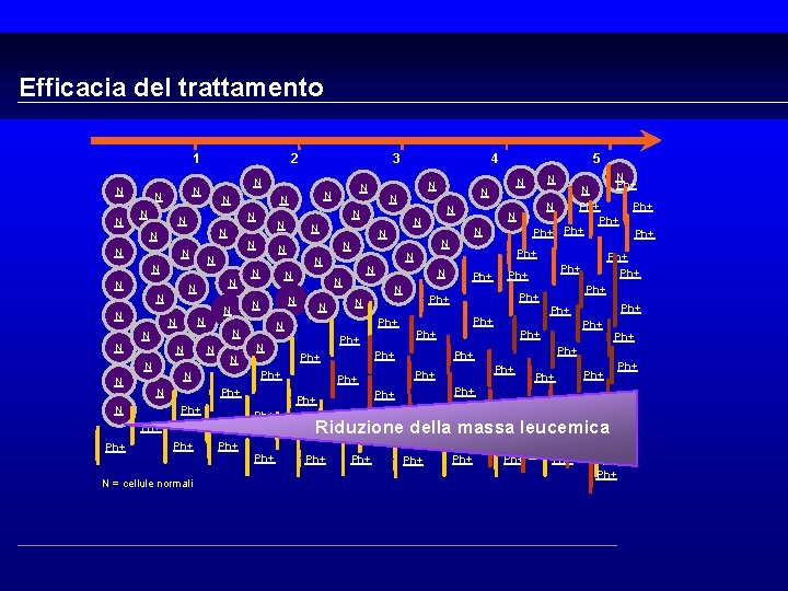 Efficacia del trattamento 1 N N 2 N N N N Ph+ N =