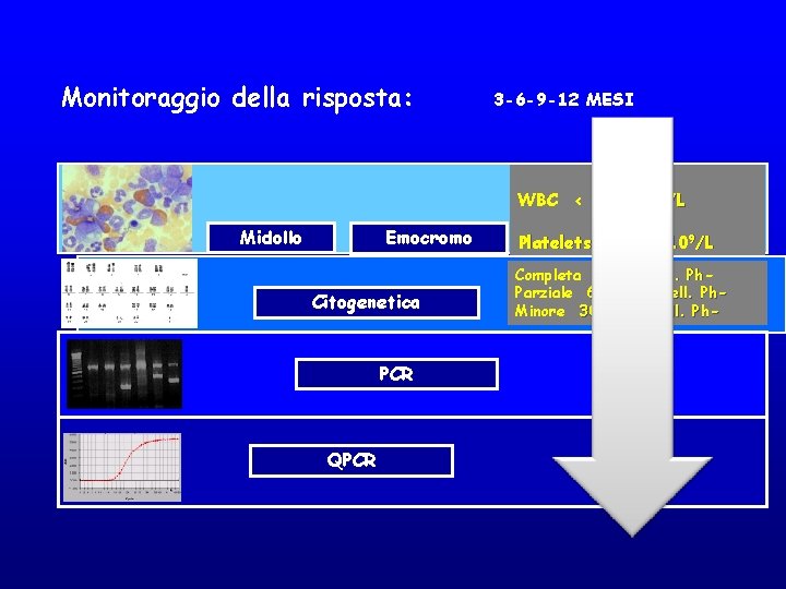 Monitoraggio della risposta: 3 -6 -9 -12 MESI WBC < 10 x 109/L Midollo