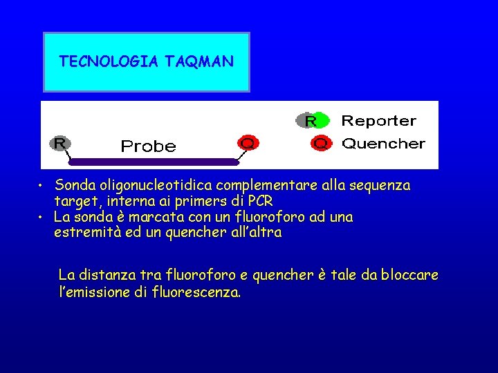 TECNOLOGIA TAQMAN • Sonda oligonucleotidica complementare alla sequenza target, interna ai primers di PCR