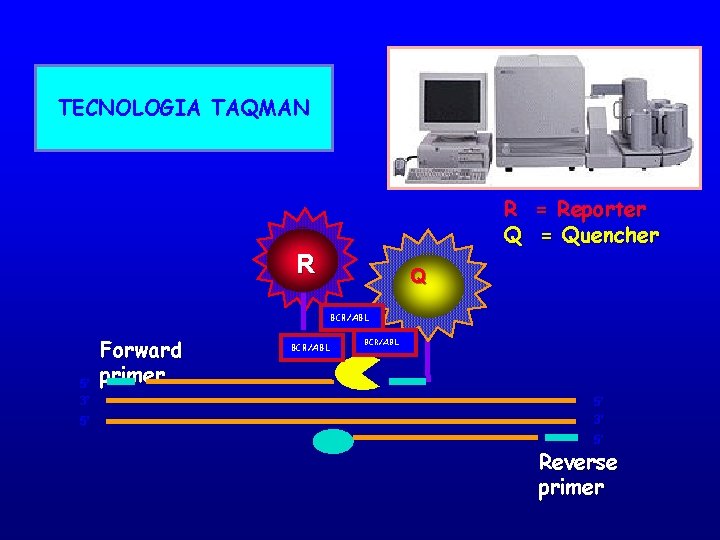 TECNOLOGIA TAQMAN R = Reporter Q = Quencher R Q Q BCR/ABLL 5’ 3’