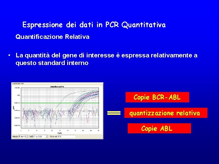 Espressione dei dati in PCR Quantitativa Quantificazione Relativa • La quantità del gene di